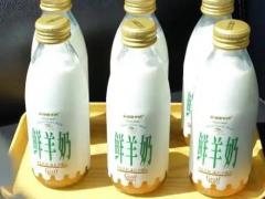 蛋品乳品区域代理招商