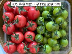 智慧农业产销峰会