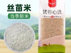 求购稻米主粮批量供货