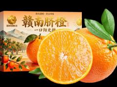 粮油收购与农业支持政策解读（第一三期）