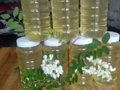 蜂产品与茶产业市场速览（第一九期）