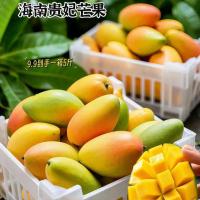 海南芒果整箱装