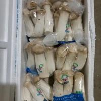 杏鲍菇鲜品批发