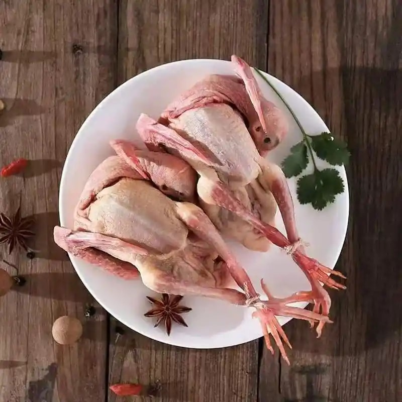 鸽肉鲜品精选